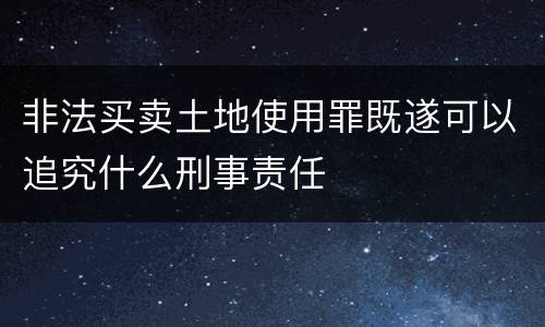 非法买卖土地使用罪既遂可以追究什么刑事责任