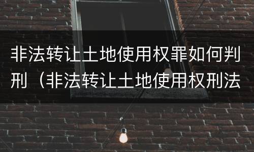 非法转让土地使用权罪如何判刑（非法转让土地使用权刑法条文）