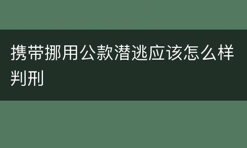 携带挪用公款潜逃应该怎么样判刑