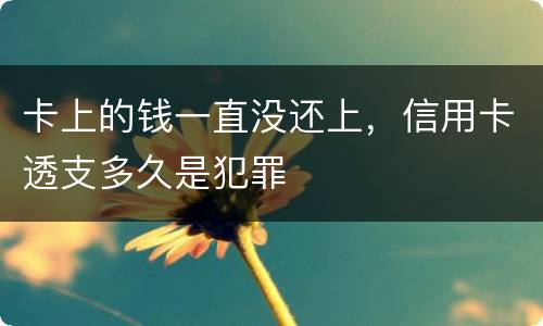 卡上的钱一直没还上，信用卡透支多久是犯罪