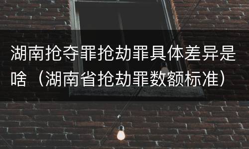 湖南抢夺罪抢劫罪具体差异是啥（湖南省抢劫罪数额标准）