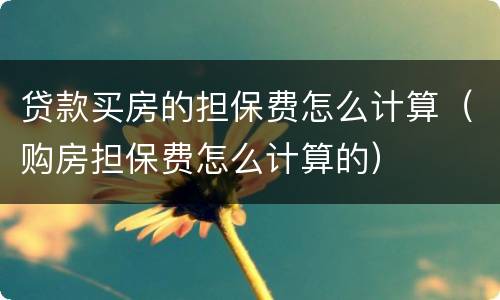 贷款买房的担保费怎么计算（购房担保费怎么计算的）
