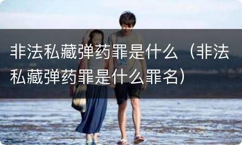 非法私藏弹药罪是什么（非法私藏弹药罪是什么罪名）