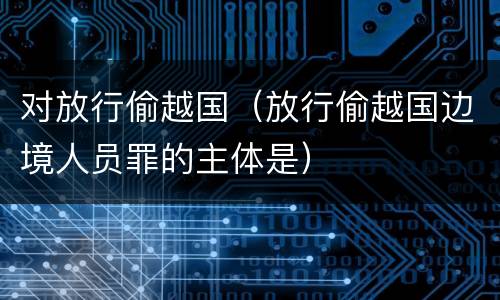 对放行偷越国（放行偷越国边境人员罪的主体是）
