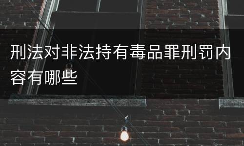 刑法对非法持有毒品罪刑罚内容有哪些