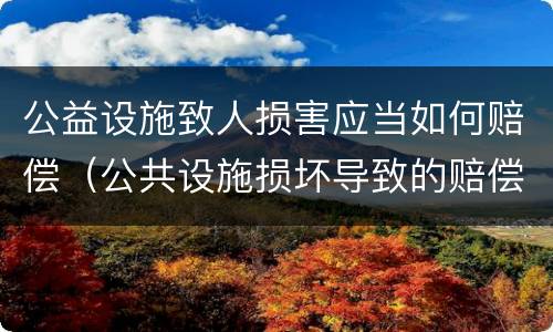 公益设施致人损害应当如何赔偿（公共设施损坏导致的赔偿属于什么赔偿）