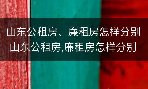 山东公租房、廉租房怎样分别 山东公租房,廉租房怎样分别出租