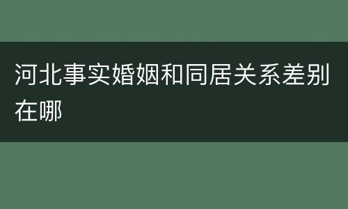 河北事实婚姻和同居关系差别在哪
