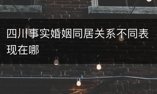 四川事实婚姻同居关系不同表现在哪