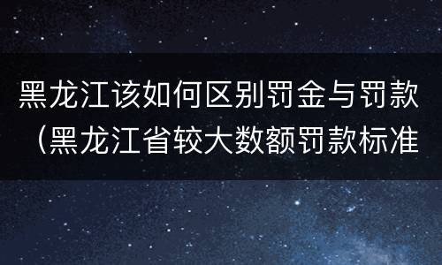 黑龙江该如何区别罚金与罚款（黑龙江省较大数额罚款标准）