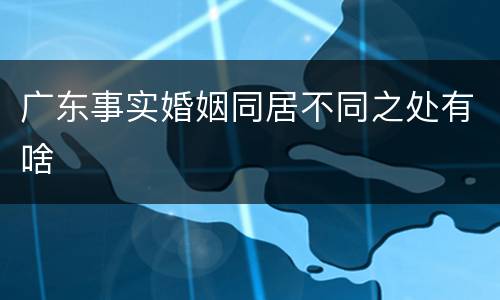 广东事实婚姻同居不同之处有啥