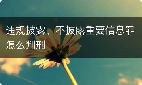 违规披露、不披露重要信息罪怎么判刑
