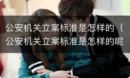 公安机关立案标准是怎样的（公安机关立案标准是怎样的呢）