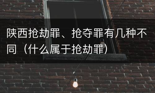 陕西抢劫罪、抢夺罪有几种不同（什么属于抢劫罪）