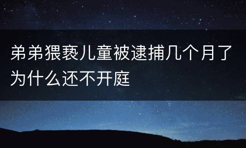 弟弟猥亵儿童被逮捕几个月了为什么还不开庭