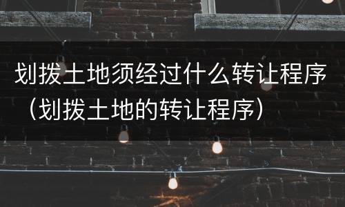 划拨土地须经过什么转让程序（划拨土地的转让程序）