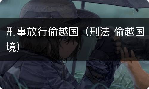 刑事放行偷越国（刑法 偷越国境）