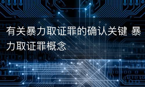 有关暴力取证罪的确认关键 暴力取证罪概念