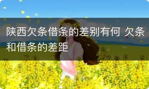 陕西欠条借条的差别有何 欠条和借条的差距