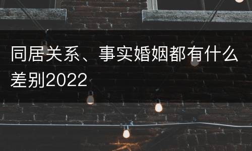 同居关系、事实婚姻都有什么差别2022