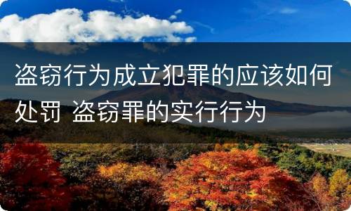 盗窃行为成立犯罪的应该如何处罚 盗窃罪的实行行为