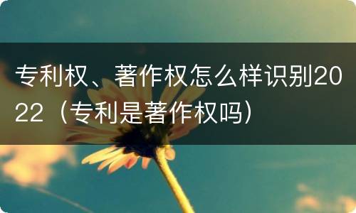 专利权、著作权怎么样识别2022（专利是著作权吗）