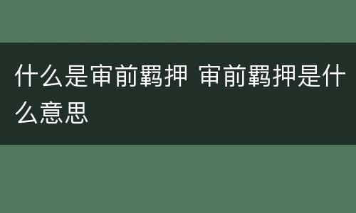 什么是审前羁押 审前羁押是什么意思