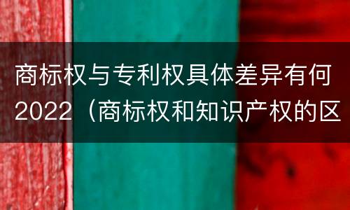 商标权与专利权具体差异有何2022（商标权和知识产权的区别）