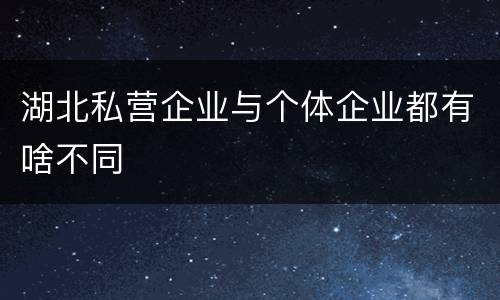 湖北私营企业与个体企业都有啥不同