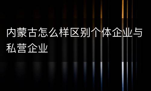 内蒙古怎么样区别个体企业与私营企业