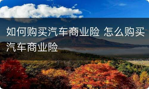 如何购买汽车商业险 怎么购买汽车商业险