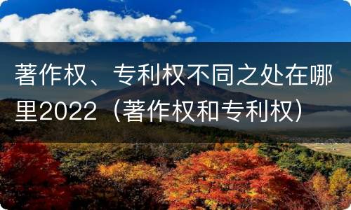 著作权、专利权不同之处在哪里2022（著作权和专利权）