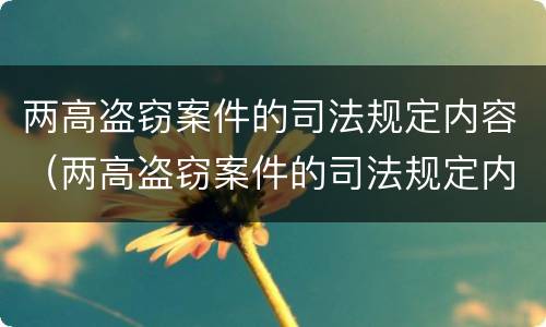 两高盗窃案件的司法规定内容（两高盗窃案件的司法规定内容是）