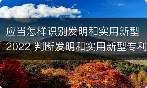 应当怎样识别发明和实用新型2022 判断发明和实用新型专利申请实用性的标准是什么