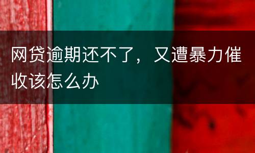 网贷逾期还不了，又遭暴力催收该怎么办