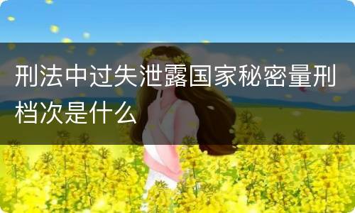 刑法中过失泄露国家秘密量刑档次是什么