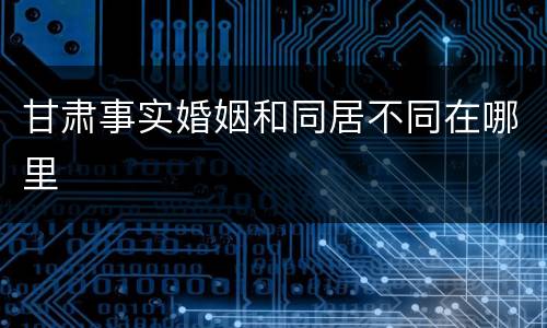 甘肃事实婚姻和同居不同在哪里