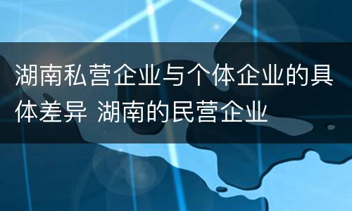 湖南私营企业与个体企业的具体差异 湖南的民营企业