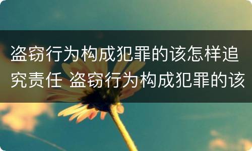 盗窃行为构成犯罪的该怎样追究责任 盗窃行为构成犯罪的该怎样追究责任和义务