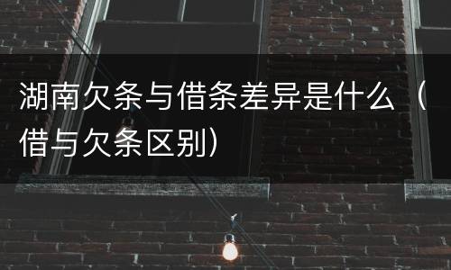 湖南欠条与借条差异是什么（借与欠条区别）