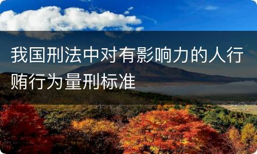 我国刑法中对有影响力的人行贿行为量刑标准