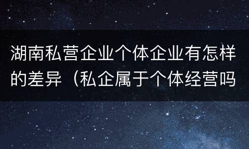 湖南私营企业个体企业有怎样的差异（私企属于个体经营吗）