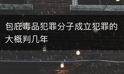 包庇毒品犯罪分子成立犯罪的大概判几年