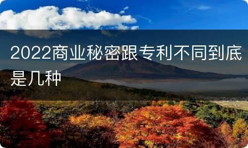 2022商业秘密跟专利不同到底是几种