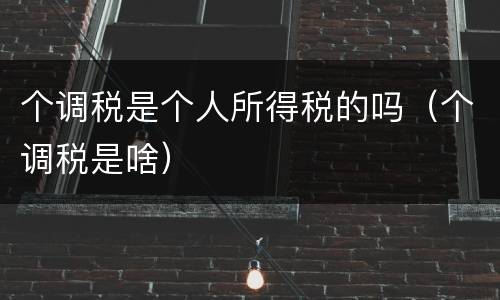 个调税是个人所得税的吗（个调税是啥）