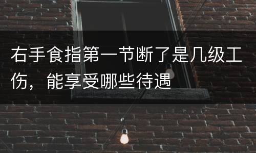 右手食指第一节断了是几级工伤，能享受哪些待遇