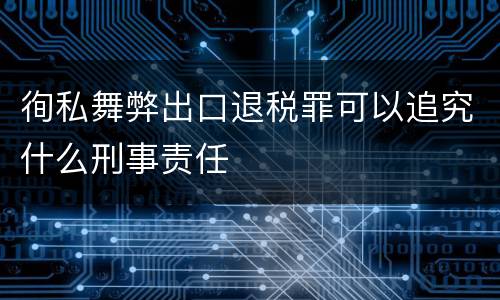 徇私舞弊出口退税罪可以追究什么刑事责任