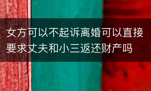 女方可以不起诉离婚可以直接要求丈夫和小三返还财产吗