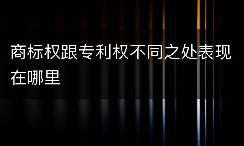 商标权跟专利权不同之处表现在哪里