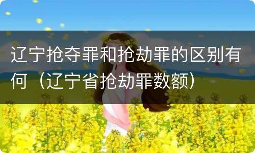 辽宁抢夺罪和抢劫罪的区别有何（辽宁省抢劫罪数额）